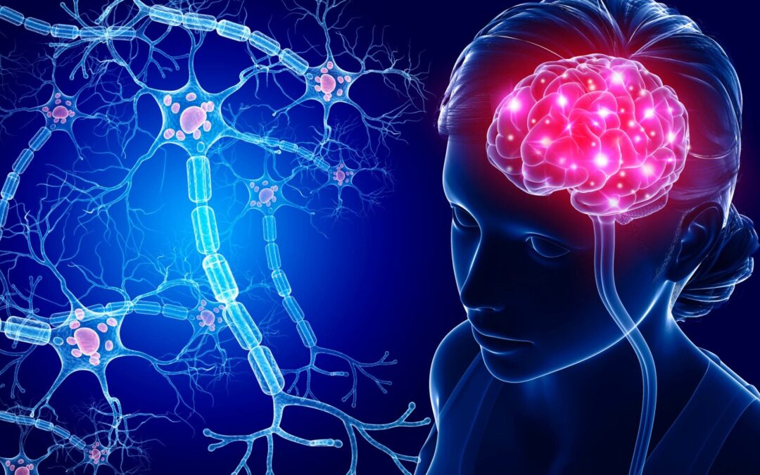 The Human Brain and Over 100 Trillion Connections