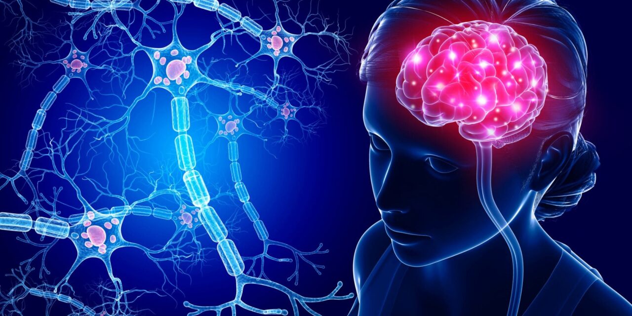 The Human Brain and Over 100 Trillion Connections