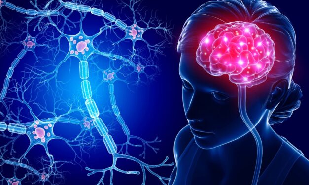 The Human Brain and Over 100 Trillion Connections