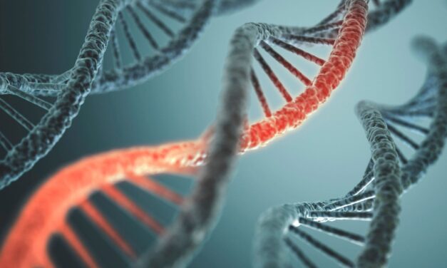 Human DNA Is Incredibly Long