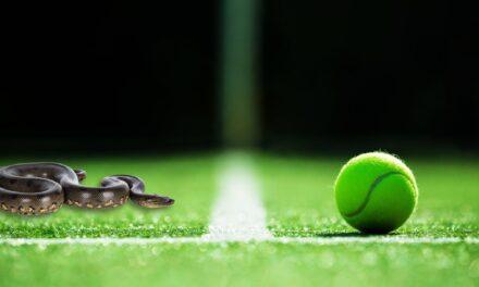 Snakebite Incident at Wimbledon